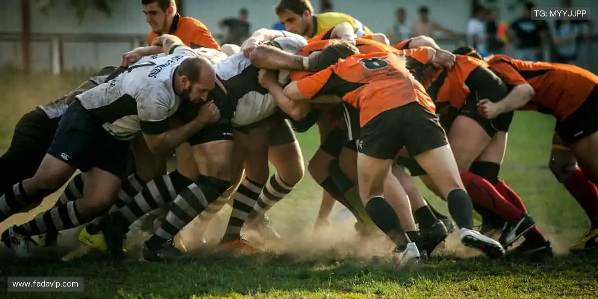 📺 高清直播,燃爆全场!🔥